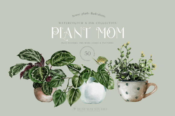 Download House Plants Illustrations and Patterns - Patterns Collection